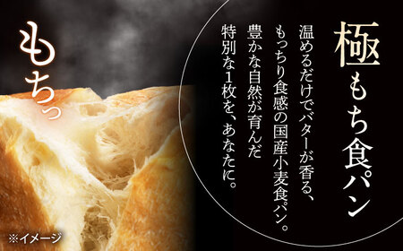 【12回定期便】【国産小麦100%】 食パン 2斤 2本 / 高級食パン 邑居謹製 パン 食パン / 南島原市 / sugar man's cafe[SEU016]