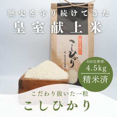 ふるさと納税 能美市 【毎月定期便】コシヒカリ米4.5kg精米　全6回