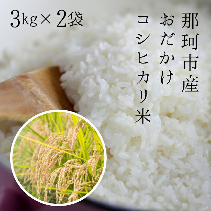 【ふるさと納税】令和7年度産 那珂市産 おだかけコシヒカリ米 3kg×2袋 米 お米 白米 こめ 精米 取り寄せ 特産 ごはん ご飯 コメ お取り寄せ ギフト 贈り物 お弁当 弁当 おにぎり ふっくら ツヤツヤ 甘い 農家直送 産地直送 国産 茨城県産 送料無料