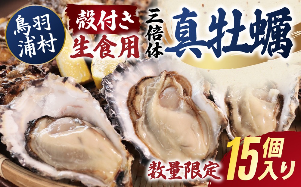 
                  【期間限定 】【10月15日まで受付】19-03 濃厚な甘みとコク！生食用 三倍体牡蠣 15個入り 生牡蠣 冷蔵 浦村牡蠣
                