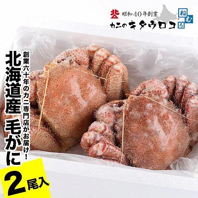 ふるさと納税 根室市 毛がに550g〜650g前後×2尾 C-25026 |  | 01