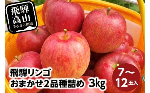 【数量限定】≪9月中旬～順次発送≫ 飛騨リンゴ 3kg（7～12玉入り）おまかせ２品種 食べ比べ | 果物 りんご リンゴ 林檎 フルーツ 旬 飛騨高山 ぜんぞう果樹園 FX001