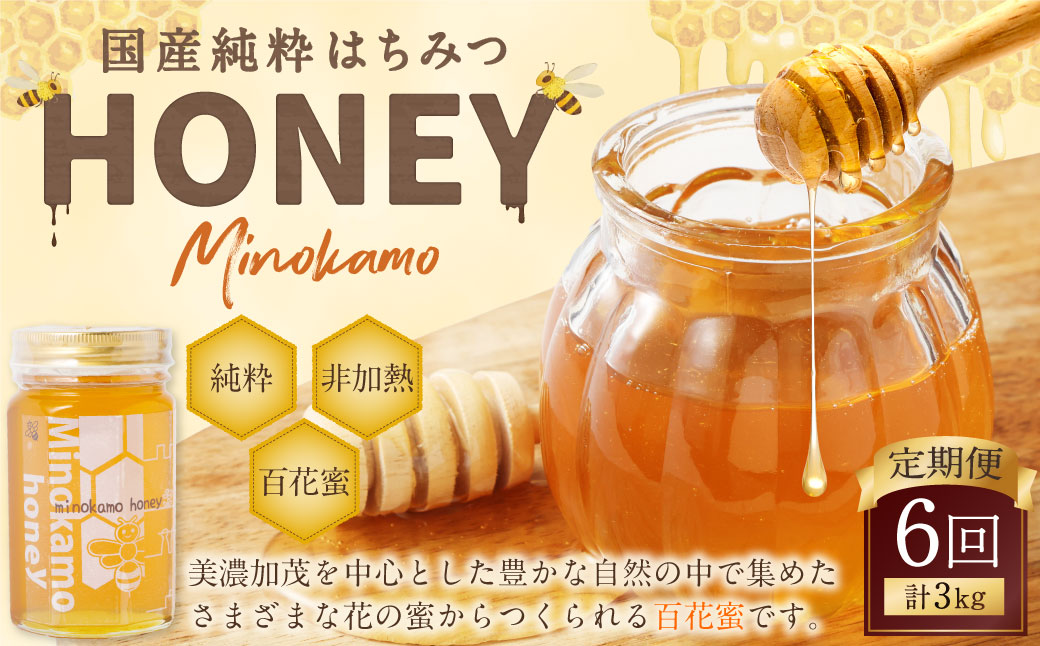 【6ヶ月定期便】MINOKAMO HONEY はちみつ 1本（500g）×6回 ｜ 藤井養蜂 蜂蜜 非加熱 百花蜜 国産 甘味料 定期便 美濃加茂市