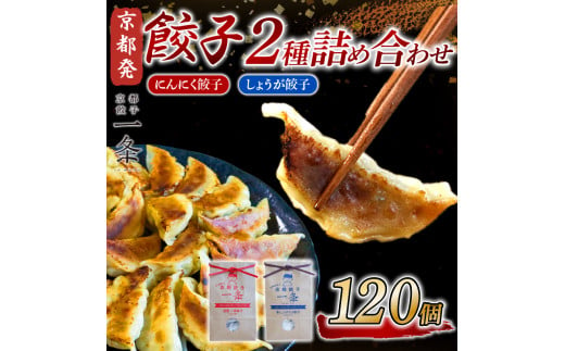 選べる 餃子 2種詰め合わせセット にんにく餃子 ＆ しょうが餃子  120個  冷凍 ぎょうざ ギョウザ ギョーザ しょうが 生姜 豚肉 便利 簡単調理 惣菜 絶品 おかず お子様 家族 こだわり餃子 餃子 人気餃子 簡易包装餃子 訳あり餃子 訳アリ 冷凍餃子 冷凍生餃子 京都 井手町 京都餃子一条 【230】