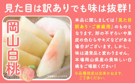 桃 もも ご家庭用 岡山白桃 約1.3kg (4~6玉前後) 赤木農園 《7月上旬-8月中旬頃出荷》 岡山県 浅口市 フルーツ モモ 果物 青果 旬 白桃 桃 【配送不可地域あり】|白桃白桃白桃白桃白
