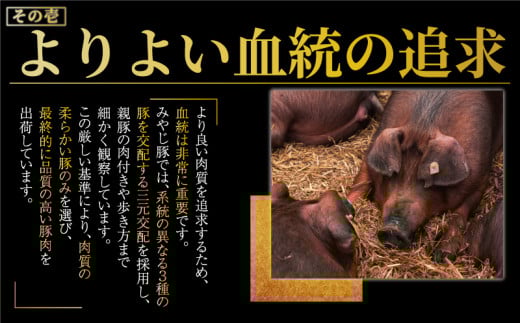 しその香り漂う肉汁たっぷり しそ餃子 20個 冷凍餃子 みやじ豚 ブランド豚 100% 餃子 ぎょうざ ギョウザ ギョーザ ぎょーざ 焼き餃子 豚肉 おつまみ gyouza 水餃子 中華料理 国産 中