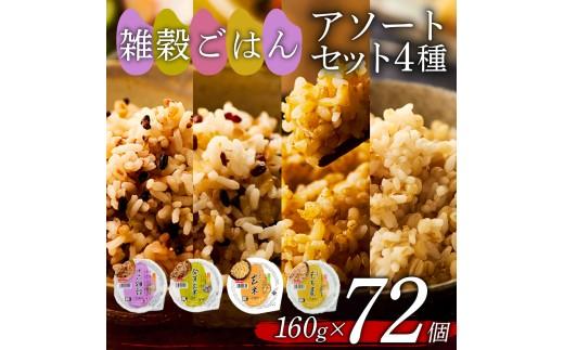雑穀ごはん アソートセット 4種 160g 72個 十六雑穀 発芽玄米 玄米 もち麦 パックごはん パックご飯 ごはんパック ご飯パック パックライス パック 16雑穀 雑穀 米 ごはん ご飯 こめ 