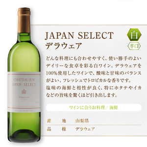 ワイン シャトージュン【JAPAN SELECT】マスカットベーリーA デラウェア 2本セット（MG）B12-804