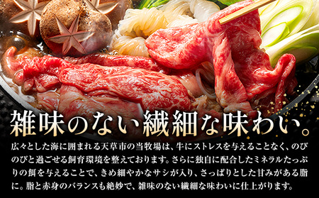 熊本県産　黒毛和牛　特選　Ａ５ランク　モモスライス１ｋｇ