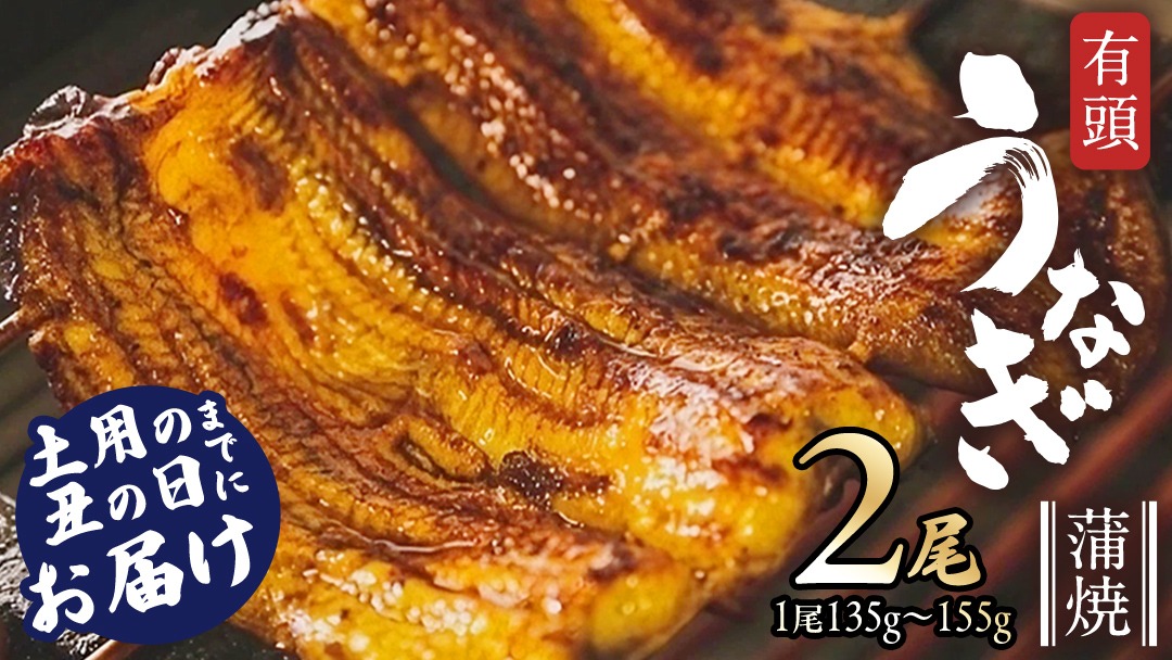 鹿児島県産 有頭 鰻 蒲焼 × 2尾 （ 1尾 135g ～ 155g 以上）【 数量限定 寄附額 17000円 → 16000円 】 うなぎ ウナギ 土用丑の日 家庭用 贅沢 国産 旬 敬老の日 タレ 山椒 付 縁起 土用の丑の日 鰻祭り [DQ007us]