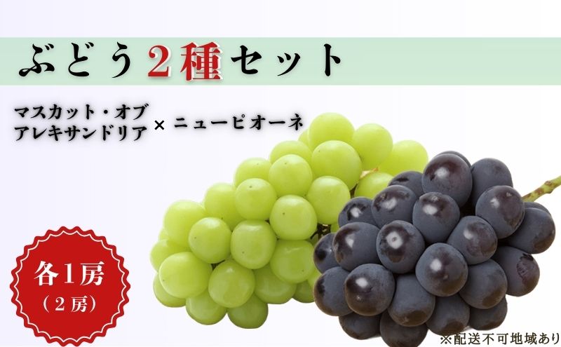 ぶどう 2025年 先行予約 マスカット オブ アレキサンドリア ニューピオーネ 各1房 葡萄 岡山県 赤磐市産 フルーツ 果物