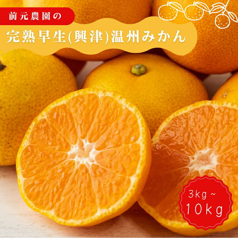 【ふるさと納税】 【サイズ・容量が選べる】前元農園の完熟早生(興津) 温州みかん 3~10kg 2S or S-M or L or LL サイズ【12月初旬〜下旬に順次発送】 / くだもの フルーツ 果物 人気 みかん ミカン 蜜柑 柑橘 数量限定