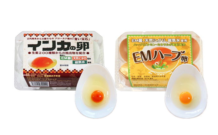 はじめての卵 食べ比べセット 6個×5種類(内割れ保証5個、各種1個づつ)／たまご 生卵 食べ比べ 詰め合わせ お試し 内子町【有限会社イヨエッグ】 [BKCB001]