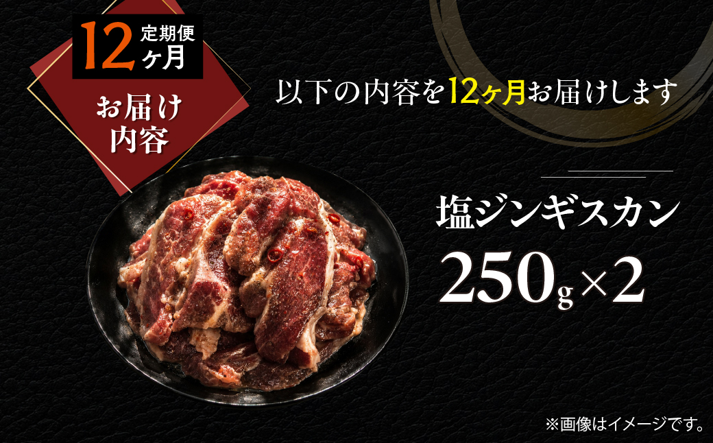 【12ヶ月定期便】塩ジンギスカン250g×2 MROA228 １２回 ２パック