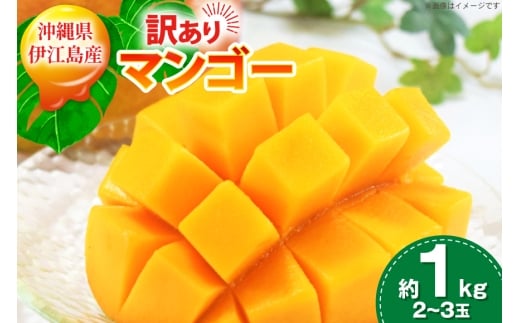 【期間限定発送】 訳あり マンゴー アーウィン種 2026年 約 1kg (2〜3玉) [マンゴー部会 沖縄県 伊江村 ie47bde320006] 沖縄 フルーツ 果物 甘い 夏 濃厚 Mango 果実 くだもの 訳アリ 2026