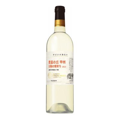 ふるさと納税 中央市 ワインのみらい　豊富の丘　甲州　太陽の畑育ち