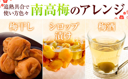 梅 紀州南高梅 1kg FARMER'S FARMER《6月上旬-7月中旬頃出荷》和歌山県 紀の川市 うめ 南高梅 青梅 紀の川市産