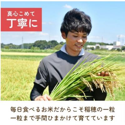 ふるさと納税 龍ケ崎市 【令和7年産】龍ケ崎の特別栽培米コシヒカリ 10kg(5kg×2袋) |  | 01