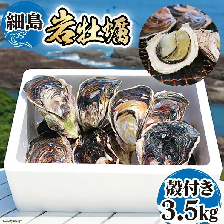 【期間限定発送】岩牡蠣 殻付き 細島 岩ガキ 約3.5kg