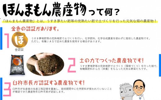【稲垣農園】里芋［白芽］（約3.5㎏）