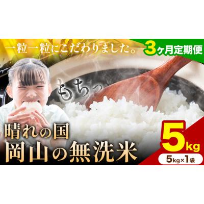 ふるさと納税 矢掛町 【3ヶ月定期便】晴れの国岡山の無洗米 5kg 岡山県産 矢掛町《申し込み翌月から発送》