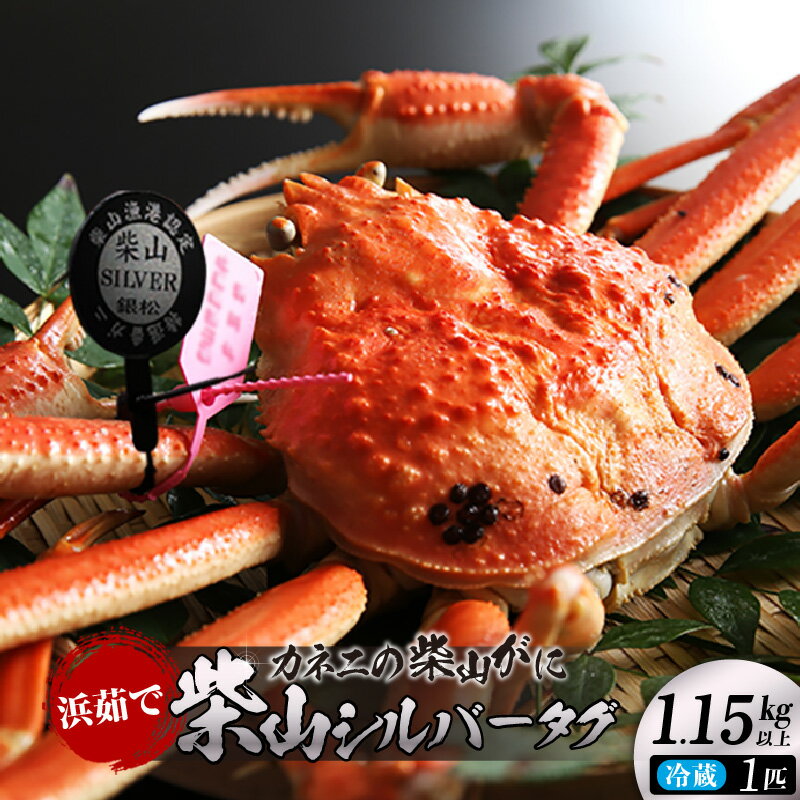 【ふるさと納税】《先行予約》カネニの浜茹で柴山がに 柴山シルバータグ付き【ボイル後1.15kg以上】冷蔵【令和8年11月中旬以降発送予定】目利き職人厳選！ 冷蔵便 国産 かに 柴山がに ボイル 簡単調理 高級がに グルメ 海鮮 焼きガニ かにすき 蟹 06-23 送料無料