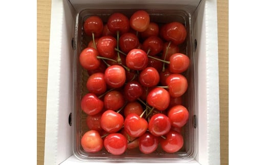 さくらんぼ（佐藤錦か紅秀峰）５００ｇ　ご家庭用　0020-2601