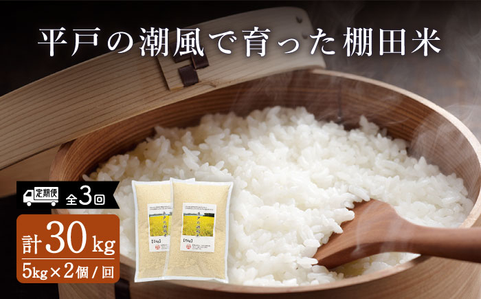
            【全3回定期便】平戸の潮風で育った 棚田米 計30kg （5kg×2個/回） 平戸市 / ひらど新鮮市場 [KAB172]
          