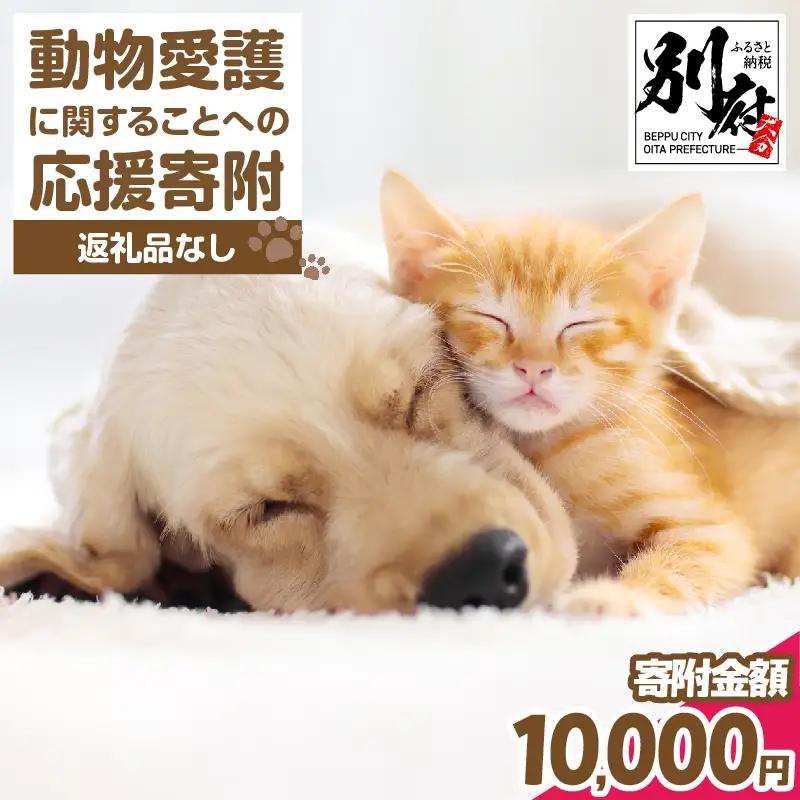 【返礼品なし】動物愛護に関することへの応援寄附(10,000円)_B001-068