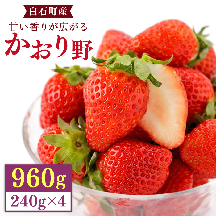 【先行予約】上品な香りの「かおり野」240g×4パック【StrawberryFarm-K】 [IBJ012]