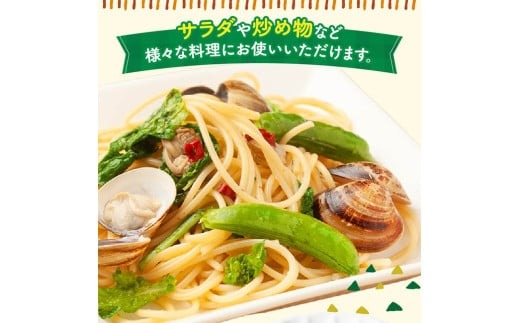 【令和8年発送】宮崎県産　スナップエンドウ1.0kg 【 野菜 宮崎県産 川南町産 野菜 産地直送 新鮮 数量限定 】[C03904]