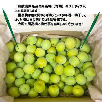 ふるさと納税 紀の川市 秀品 南高梅 3L以上(青梅)約3kg