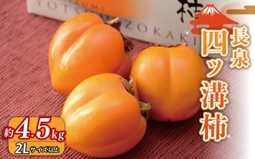 【先行予約】四ッ溝柿  約4.5kg 数量限定 2025年発送 柿 かき カキ 渋抜き フルーツ 令和7年産  果物 スイーツ 予約受付  11月上旬から順次発送 冷蔵 お歳暮 ギフト 贈答用 プレゼント 取り寄せ 静岡県 長泉町