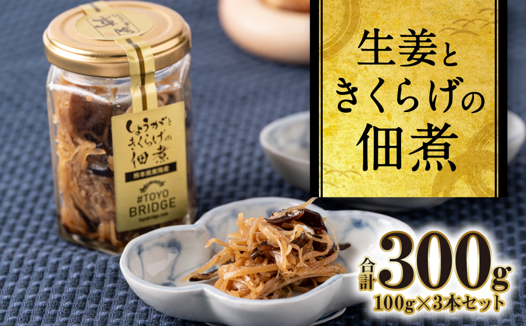 生姜ときくらげの佃煮 3本セット 生姜 きくらげ 佃煮 つくだに おかず 朝ごはん ご飯のお供 和食 八代市 東陽町