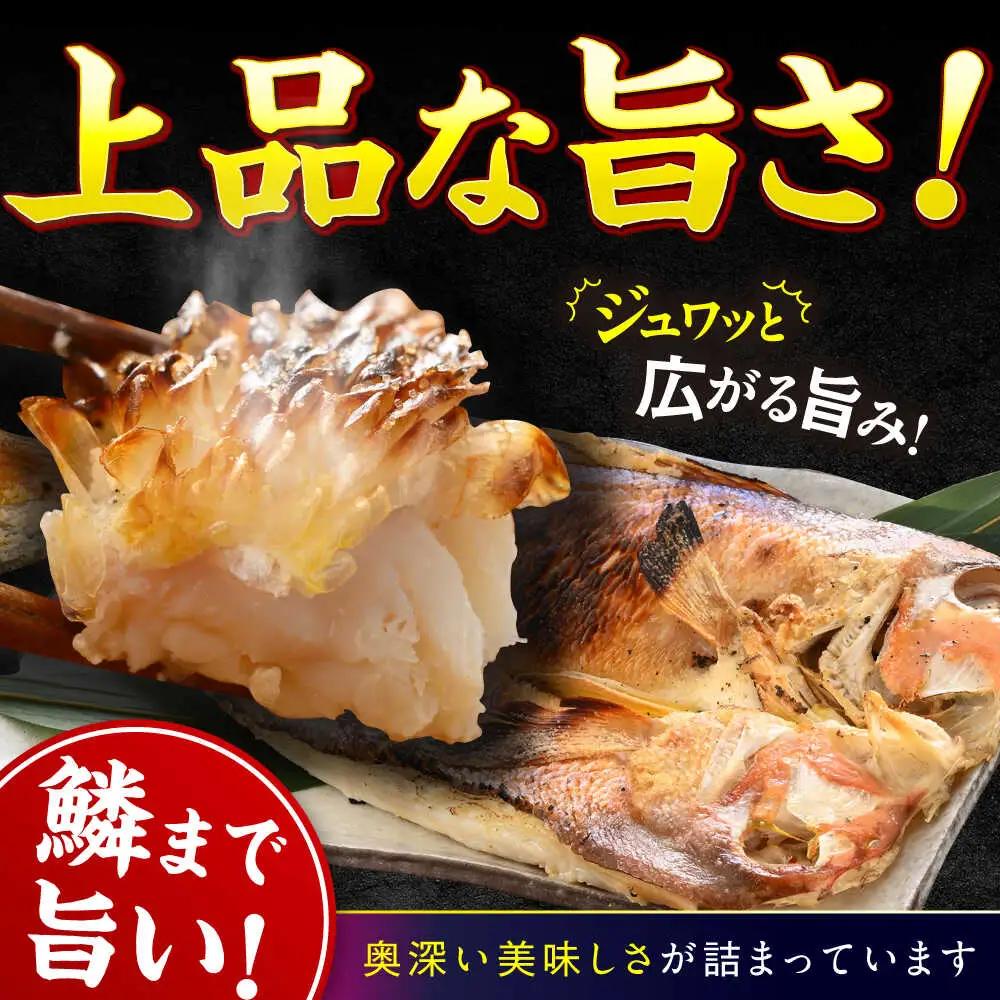 【加福鮮魚】若狭ぐじ 一汐開き 1尾 800g　甘鯛 タイ アカアマダイ 焼き魚 高級 小浜市 / 加福鮮魚【配送不可地域：北海道・沖縄・離島】  [BFBC001] 