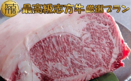 ★☆贅沢なお肉を心ゆくまで☆★最高級志方牛厳選プラン！！【2499A00402】