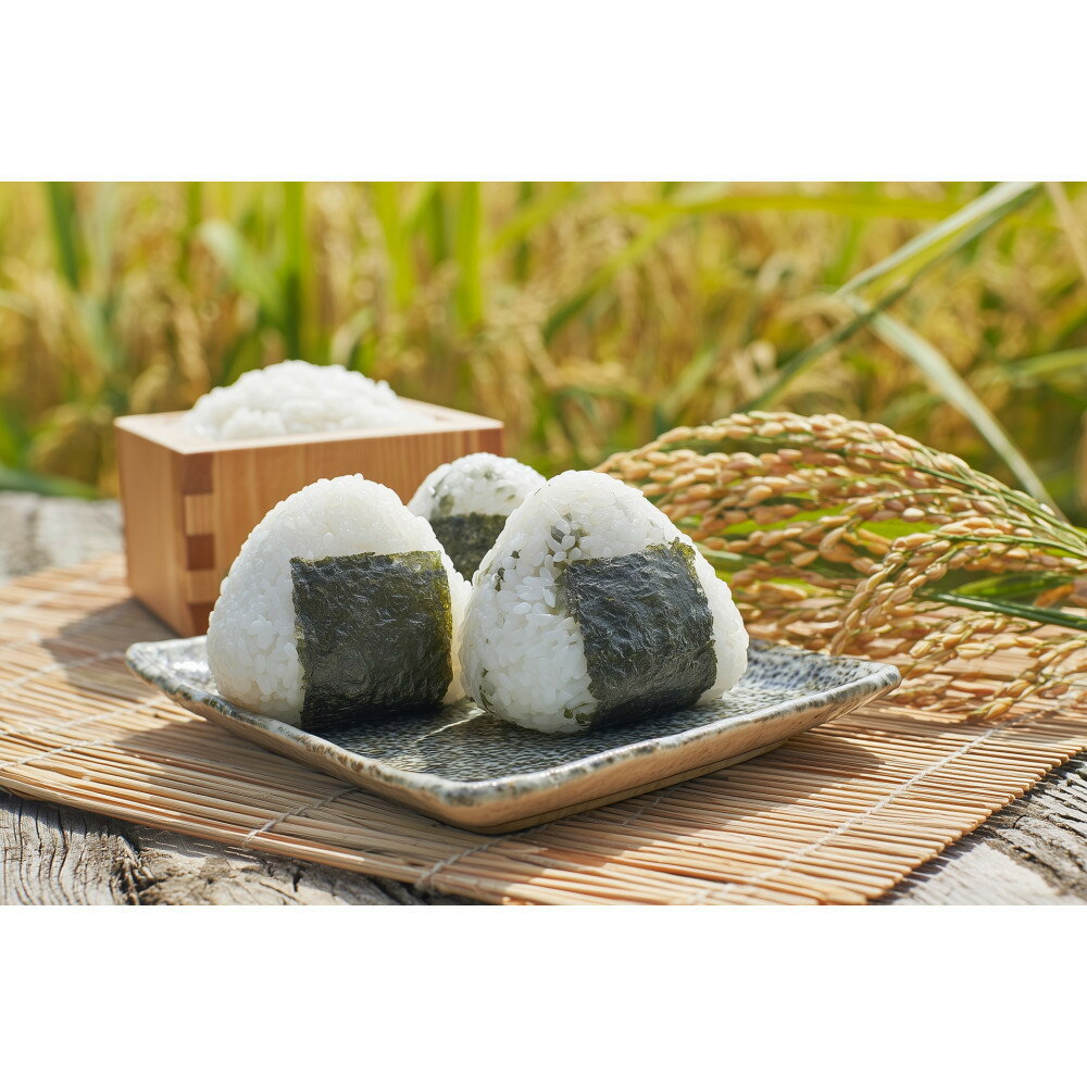 【ふるさと納税】新米 食べ比べ 3種（各1Kg袋、合計3Kg) | お米 こめ 白米 食品 人気 おすすめ 送料無料