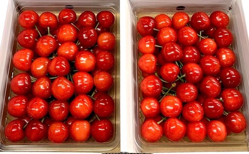 さくらんぼ（佐藤錦）３５０ｇ×２パック　手詰め　0049-2604