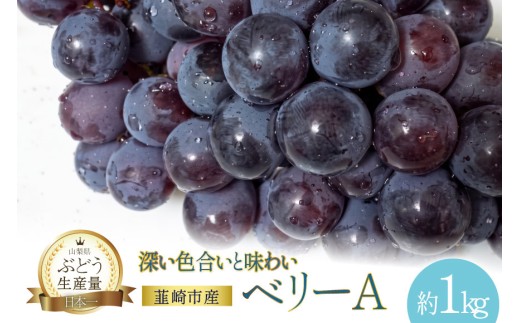 ぶどう ベリーA 約 1kg 【2026年発送】 山梨 やまなし ぶどう ブドウ 葡萄 マスカット ワインぶどう 果物 フルーツ 種あり 1キロ 山梨県産 産地直送 期間限定 季節限定 常温 2026 [フルーツランド平賀 山梨県 韮崎市 20745661]