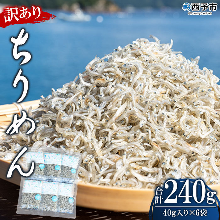 ＜訳あり ちりめん 合計240g（40g入り×6袋）＞ しらす シラス じゃこ 小分け おすそ分け 無添加 魚 さかな 小魚 海産物 水産加工品 おにぎり 具材 おつまみ おやつ ご家庭用 のし 特産品 網元・祇園丸 愛媛県 西予市【冷蔵】『1か月以内に順次出荷予定』