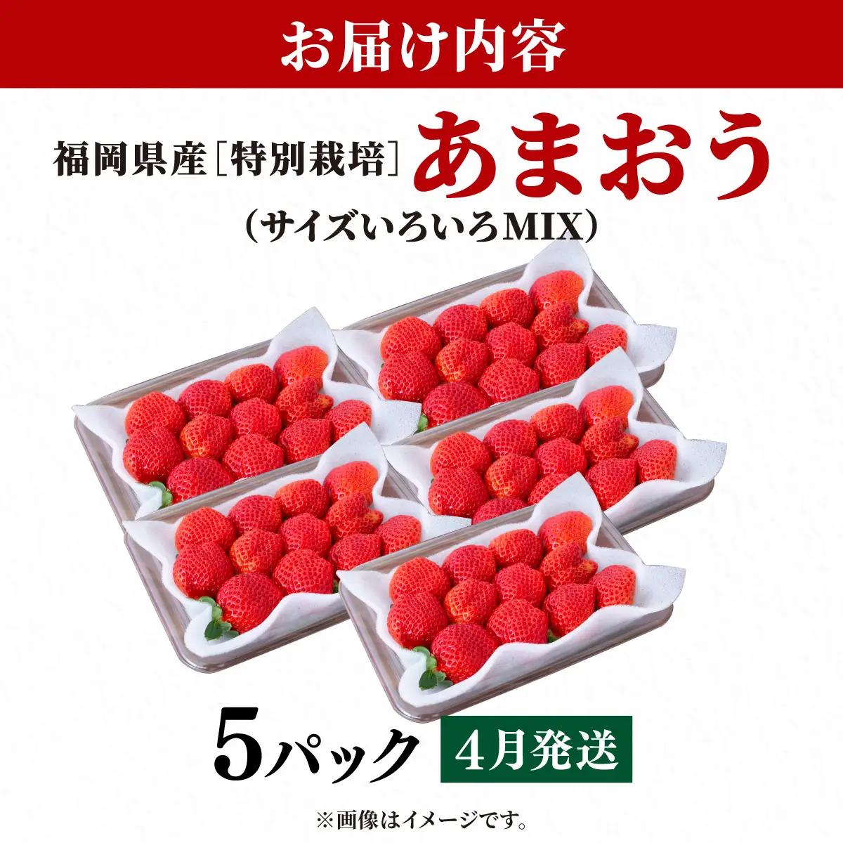 いちご 福岡県産 特別栽培 あまおう サイズいろいろMIX 約1425g（約285g×5パック）【4月発送】