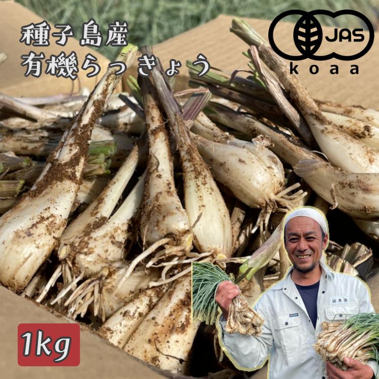 
                  【 先行予約 】たねがしま らっきょう 誠農園 ( 種子島  有機 JAS 根つき 生らっきょう) 1kg　NFN583【250pt】 // 有機栽培 オーガニック 安心・安全 栄養価が高い 健康食材 甘酢 キムチ等の漬物 天ぷら 
                