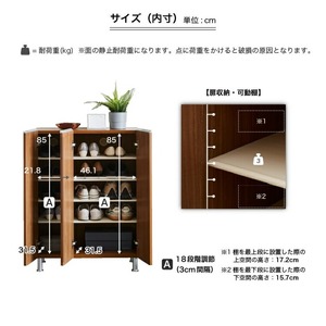 シューズボックス 【リアル 75 LO】 アンディーライト_シューズボックス リアル 75 LO 大川家具 カラー アンディーライト 靴箱 靴 収納 可動棚 お洒落 国内製造 お取り寄せ 福岡県 久留