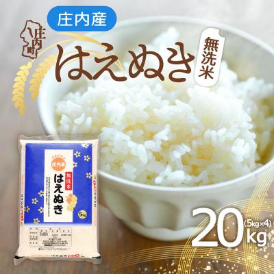 ふるさと納税 庄内町 庄内産 はえぬき無洗米 20kg 5kg×4袋 令和7年産 2025年産 ブランド米