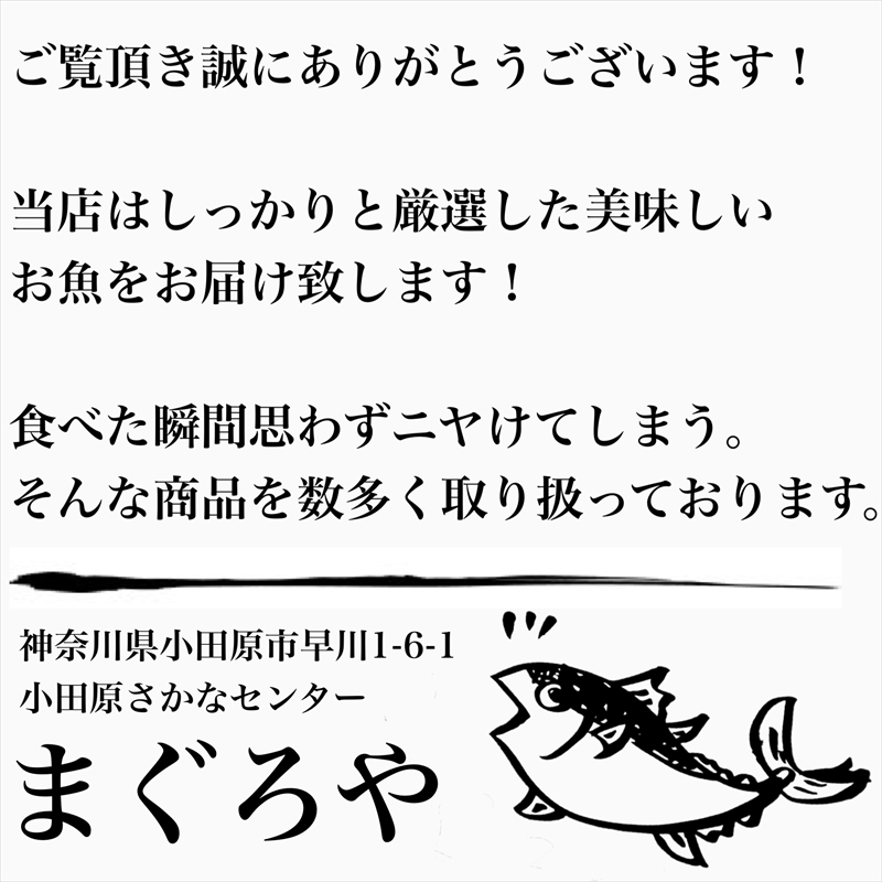 王様の塩辛 食べきり小パック【いかの塩辛 アオリイカ するめいか 焼酎 日本酒 おつまみ お取り寄せ お中元 お歳暮 父の日 母の日 贈り物 日本酒 焼酎】【ふるさと納税】【神奈川県小田原市】