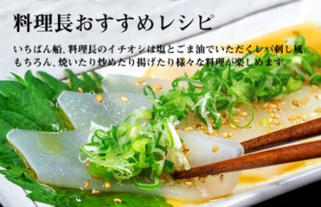 イカ 小分け パック いか タルイカ もちもち 不揃い 訳あり 高知県 須崎市