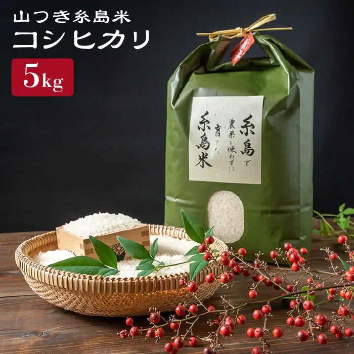 糸島 で 農薬 を使わずに育てた 山つき 糸島米 5kg （ コシヒカリ ）《 糸島 》【株式会社やました】 [ARJ015]