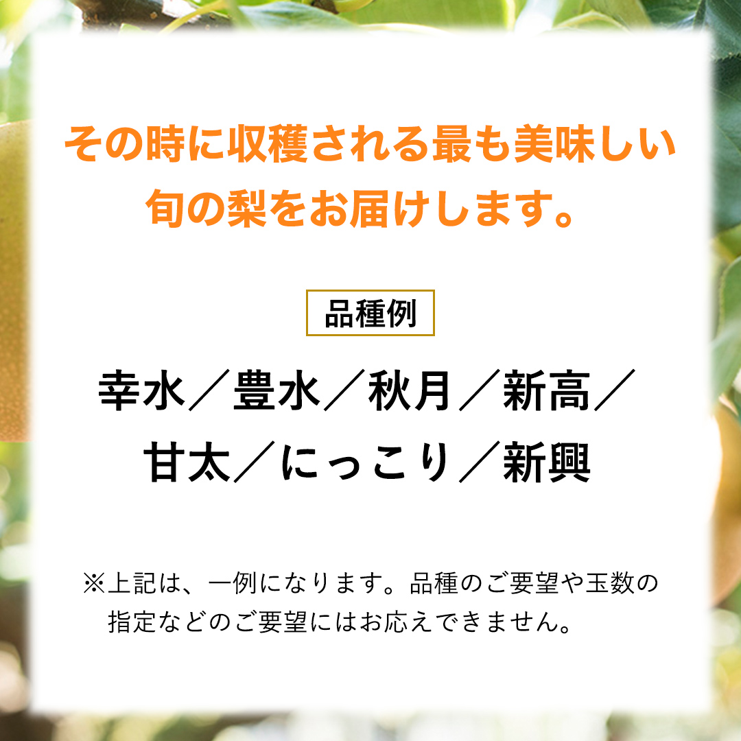 【 先行予約 】 品種おまかせ 採れたて 完熟天使の 甘梨 約 3kg （ 茨城県共通返礼品： かすみがうら市 ） 【 2026年8月中旬頃発送 】 フルーツ 果物 なし ナシ 旬 新鮮 旬 期間限定
