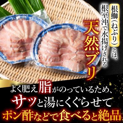 ふるさと納税 根室市 【北海道根室産】天然ぶりしゃぶしゃぶセット300g G-42005 |  | 01