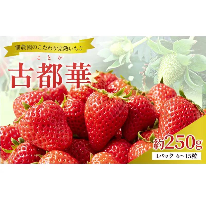 先行予約 いちご 完熟 古都華 約250g(250g×1パック ) 佃農園のこだわり 高評価 フルーツ 果物 旬 産地直送 旬の果物 おやつ デザート ことか イチゴ 冷蔵 冷蔵配送 奈良県 大和郡山市 BN001